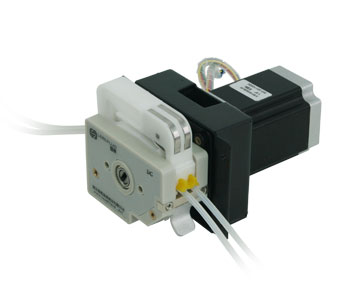 Type D-DG